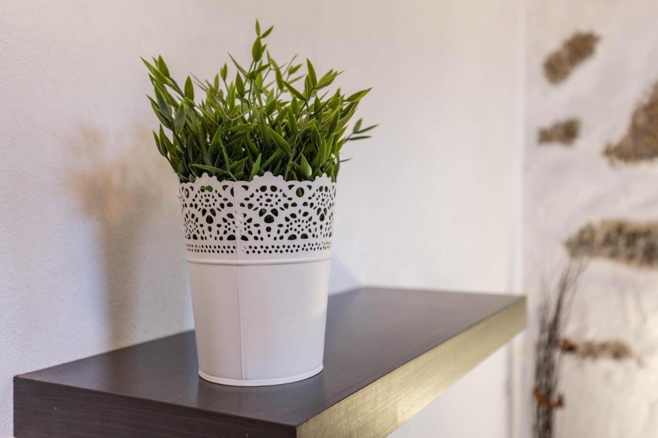 Eden Ecologico En Casa La Fuentita Apartment El Charco  Bagian luar foto
